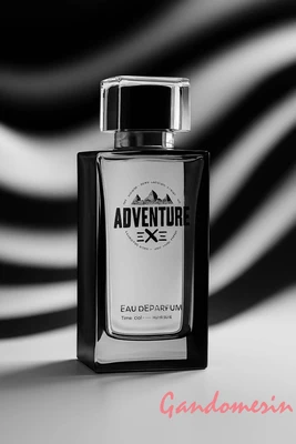 ادوپرفیوم مردانه رودیر پلاس RODIER PLUS مدل ادونچر ADVENTURE رایحه  اونتوس حجم 100 میلی لیتر