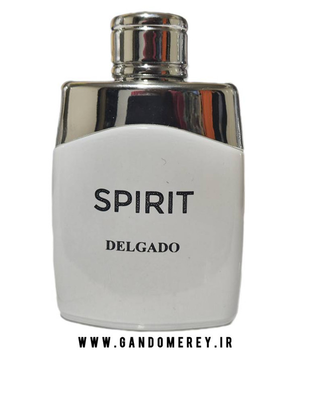 ادکلن جیبی مردانه دلگادو مدل لجند اسپریت perfume Delgado Legend Spirit حجم 30 میل