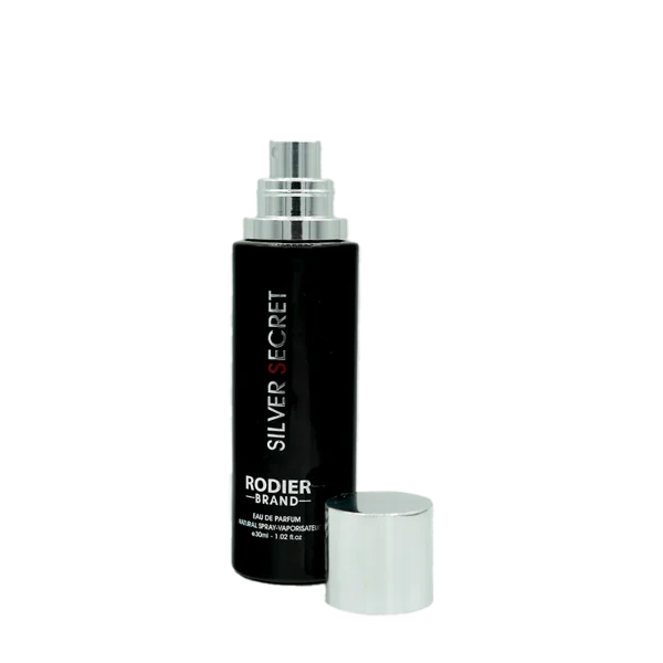 عطر جیبی مردانه رودیر مدل سیلور سکرت Silver Secret حجم 30 میلی لیتر