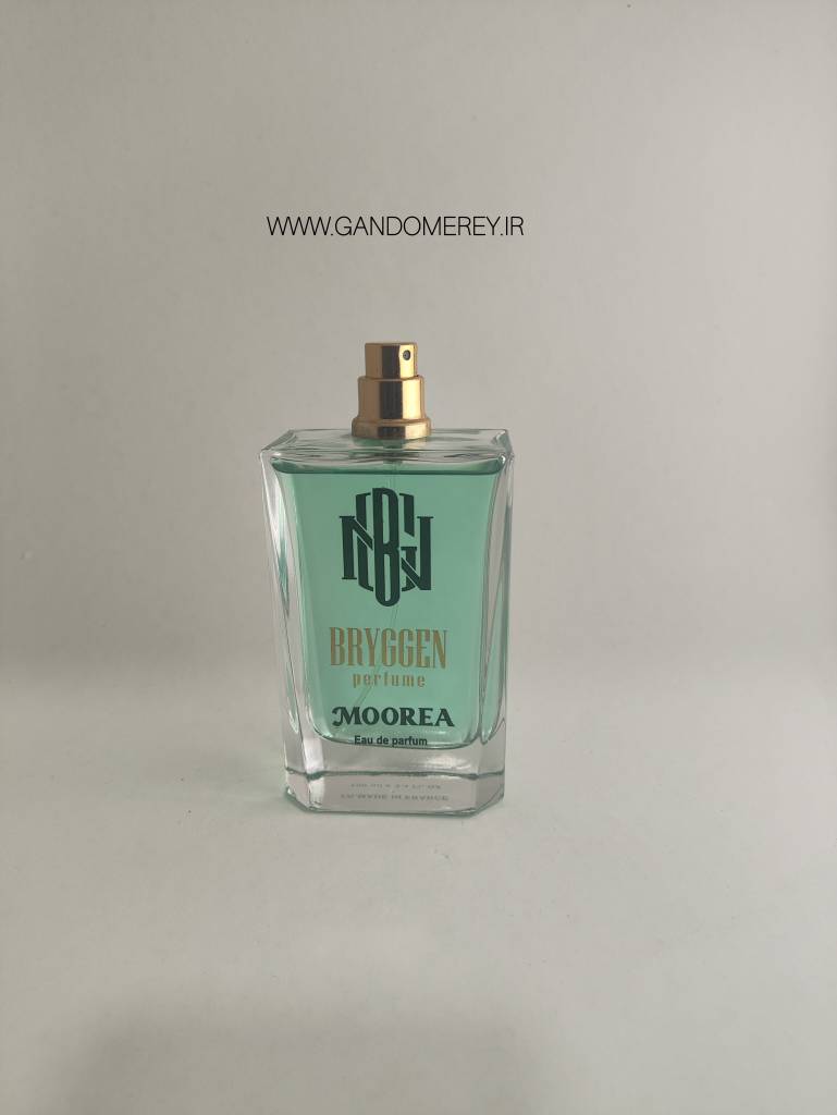 عطر وادکلن مردانه BRYGGEN PERFUME MOOREA100MLرایحه ساواج 100میلی لیتر