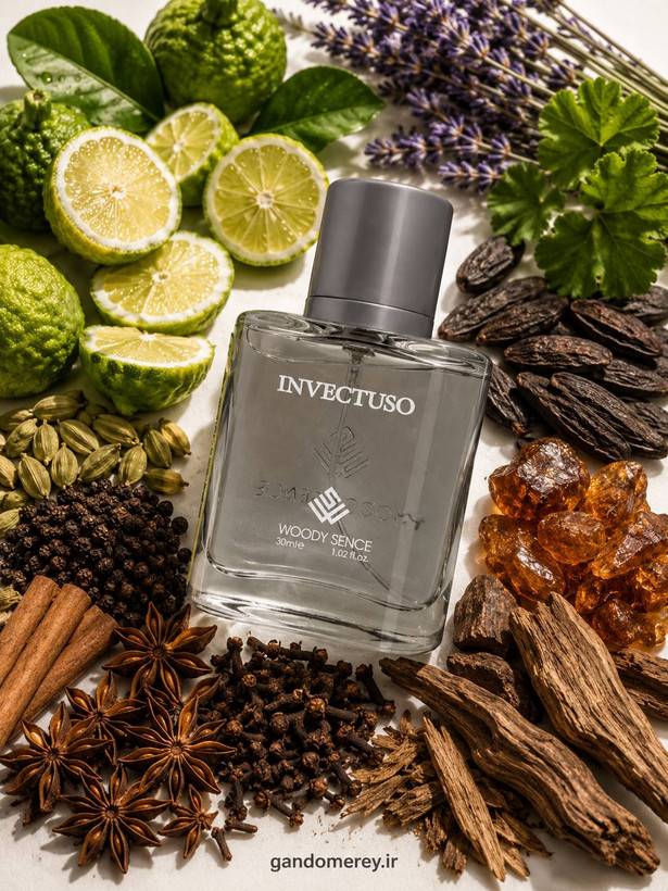 عطر جیبی پرفيوم وودي سنس مدل اینوکتوس INVECTUSE حجم30ميل لیتر
