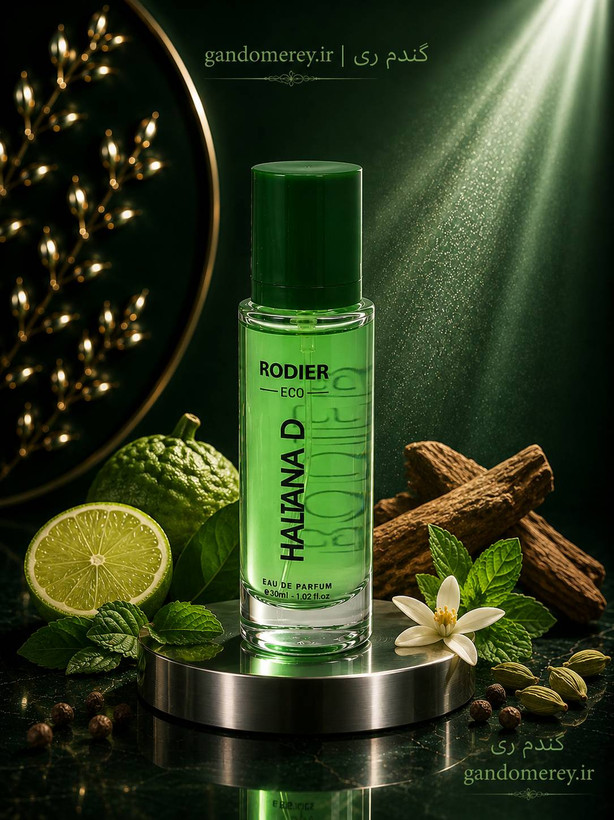 عطر جیبی پرفيوم رودیر اکو مدل هالتانا دیHALTANA D حجم30ميل لیتر