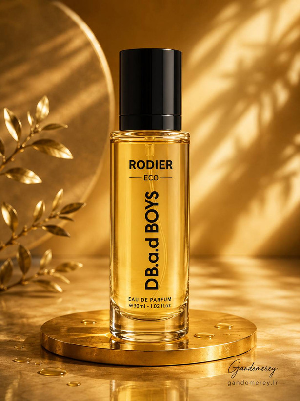 عطر جیبی مردانه رودیر اکو مدل D.B.A.D BOYS حجم 30 میلی لیتر