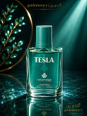 عطر جیبی پرفيوم وودي سنس حجم30ميل لیتر مدل تسلا TESLA