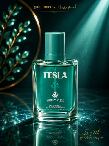 عطر جیبی پرفيوم وودي سنس حجم30ميل لیتر مدل تسلا TESLA
