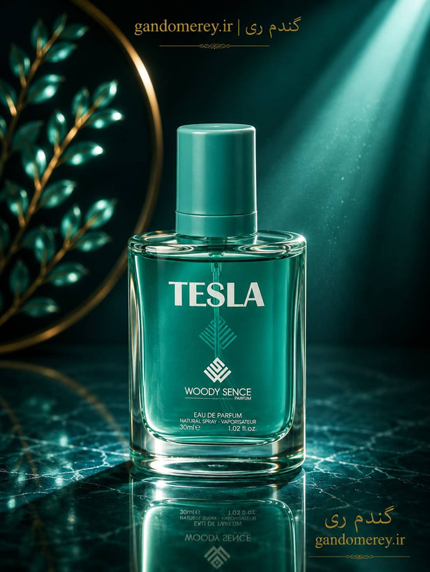 عطر جیبی پرفيوم وودي سنس حجم30ميل لیتر مدل تسلا TESLA