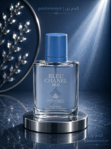 عطر جیبی پرفيوم وودي سنس حجم30ميل لیتر مدل بلوچنلBLUE SHANEL