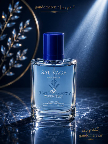 عطر جیبی پرفيوم وودي سنس مدل ساواچ پور هوم SAVAGE pour homme حجم30ميل لیتر