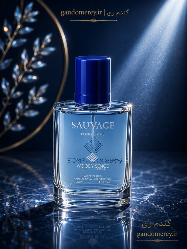 عطر جیبی پرفيوم وودي سنس مدل ساواچ پور هوم SAVAGE pour homme حجم30ميل لیتر