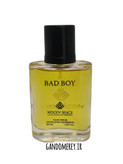 عطر جیبی پرفيوم وودي سنس مدل بدبوی BAD BOY حجم30ميلی لیتر