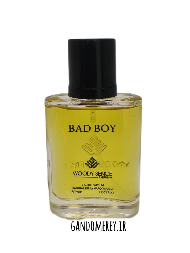 عطر جیبی پرفيوم وودي سنس مدل بدبوی BAD BOY حجم30ميلی لیتر