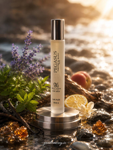 عطر جیبی مردانه پرفیوم بست گیت مدل پگاسوس (PEGASUS) حجم ۳۰ میلیلیتر | رایحه گرم و لوکس